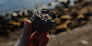 Finding fossil man